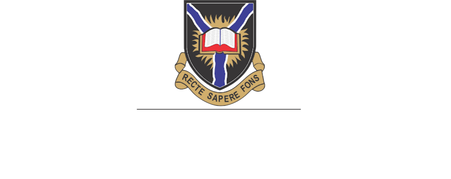 University of Ibadan AJEM